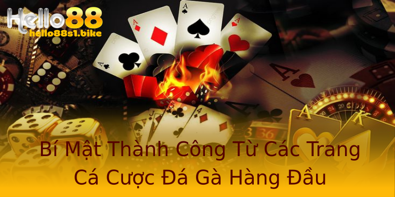Bí Mật Thành Công Từ Các Trang Cá Cược Đá Gà Hàng Đầu Bí Mật Thành Công Từ Các Trang Cá Cược Đá Gà Hàng Đầu