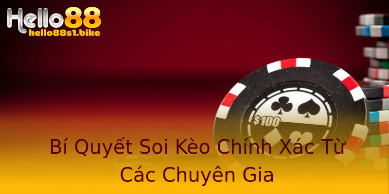 Bí Quyết Soi Kèo Chính Xác Từ Các Chuyên Gia