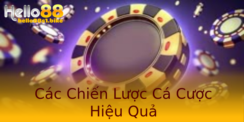 Các Chiến Lược Cá Cược Hiệu Quả