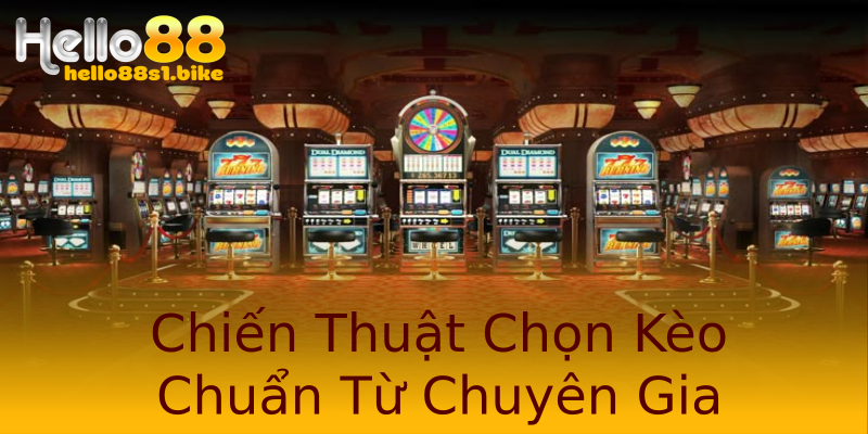 Chiến Thuật Chọn Kèo Chuẩn Từ Chuyên Gia