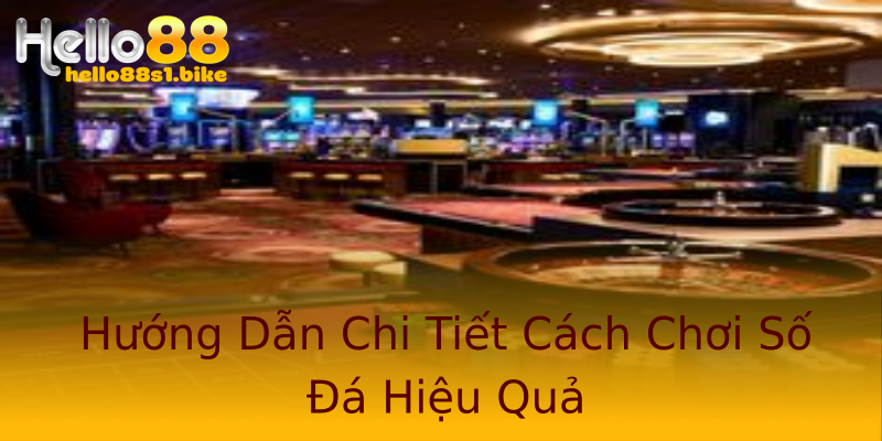 Hướng Dẫn Chi Tiết Cách Chơi Số Đá Hiệu Quả