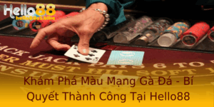Kham Pha Mau Mang Ga A Bi Quyet Thanh Cong Tai Hello88
