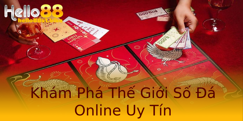 Khám Phá Thế Giới Số Đá Online Uy Tín