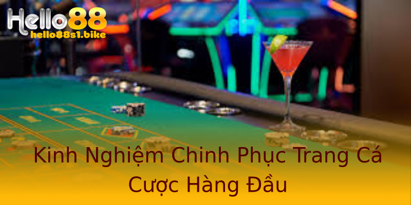 Kinh Nghiệm Chinh Phục Trang Cá Cược Hàng Đầu