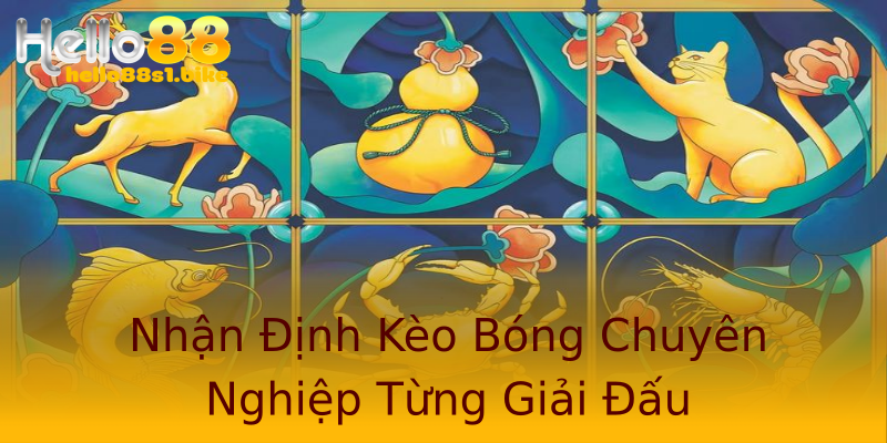 Nhận Định Kèo Bóng Chuyên Nghiệp Từng Giải Đấu