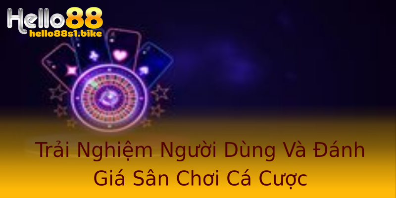 Trải Nghiệm Người Dùng Và Đánh Giá Sân Chơi Cá Cược