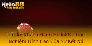 Tri An Khach Hang Hello88 Trai Nghiem Inh Cao Cua Su Ket Noi